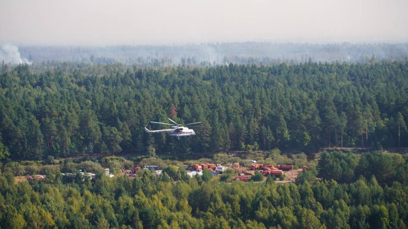 Пожары 2010 года в России