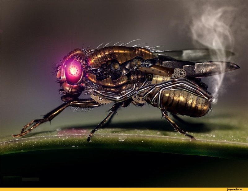 Роботы насекомые