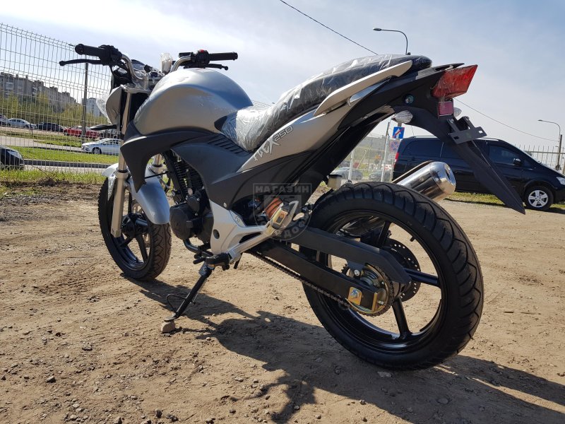 Stels Flex 250