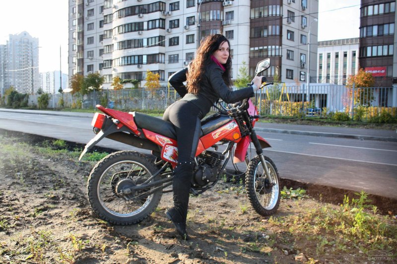 ЗИД пилот 250