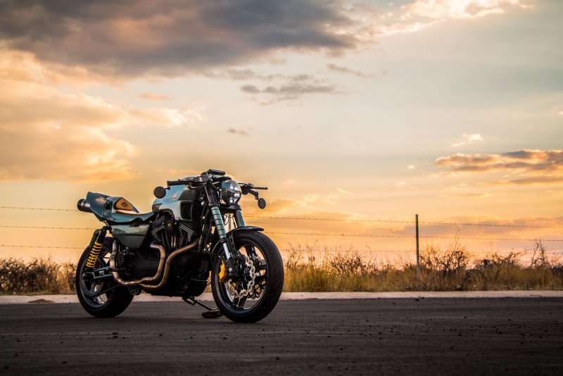 Predator Harley Davidson