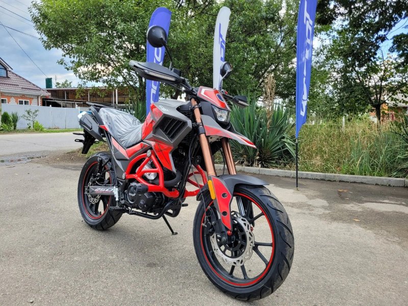 Rockot Hound 250