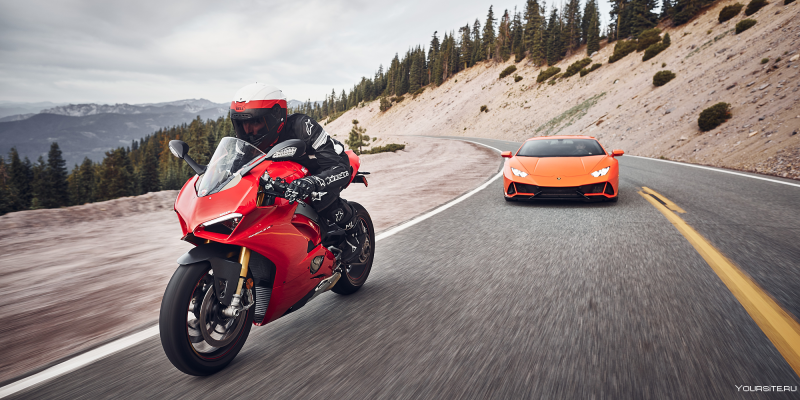 Ducati Lamborghini