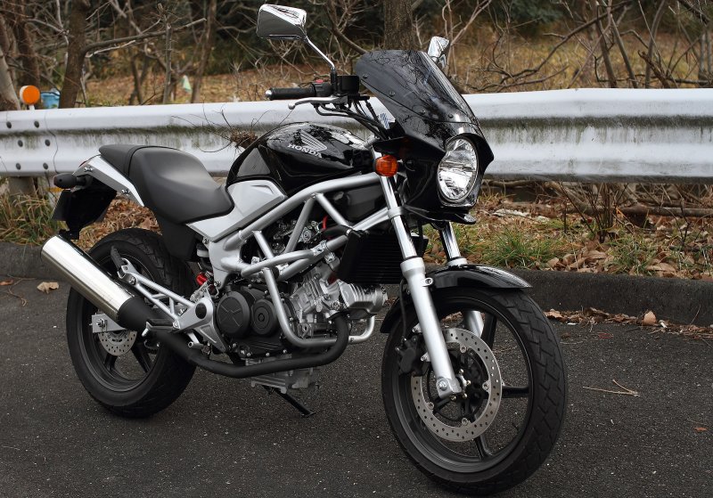 Honda vtr250 Protection