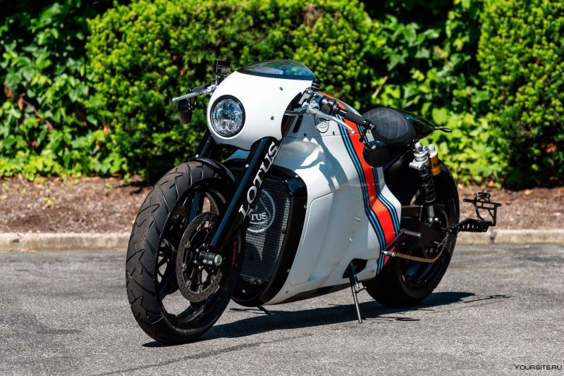 Lotus c-01