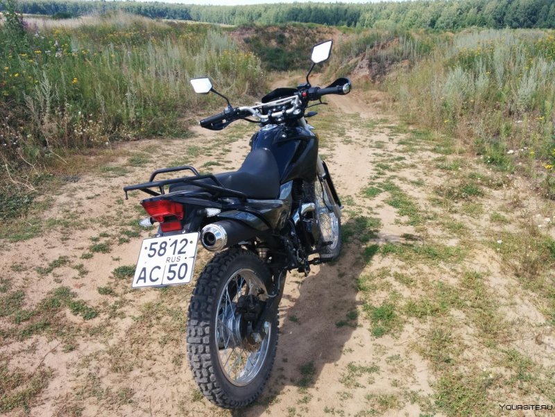 ЗИД 250 стелс