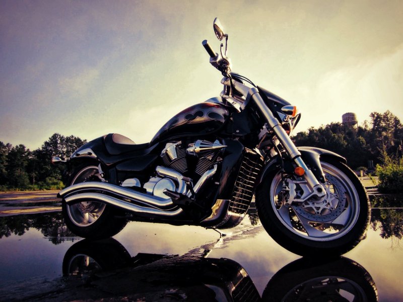 Suzuki Intruder