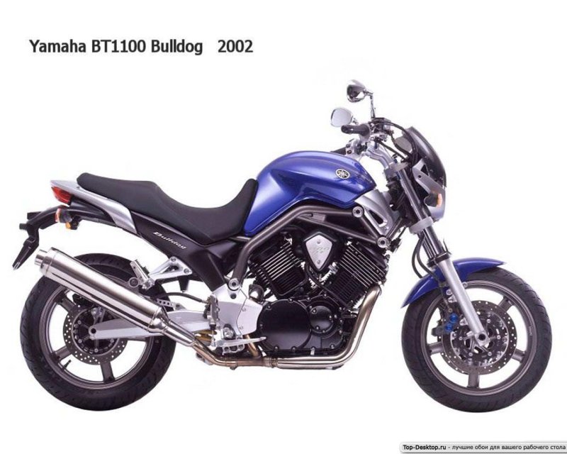 Ямаха бульдог bt1100