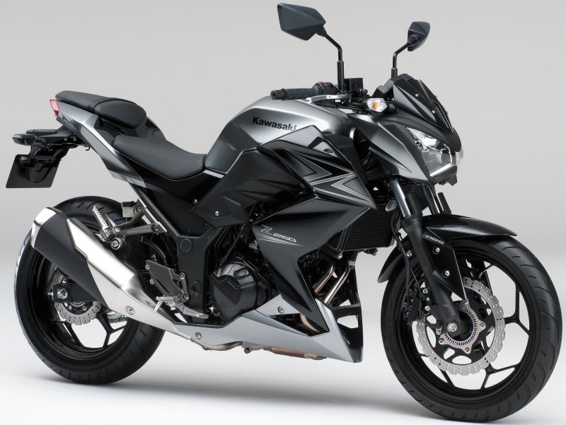 Kawasaki z250 2015