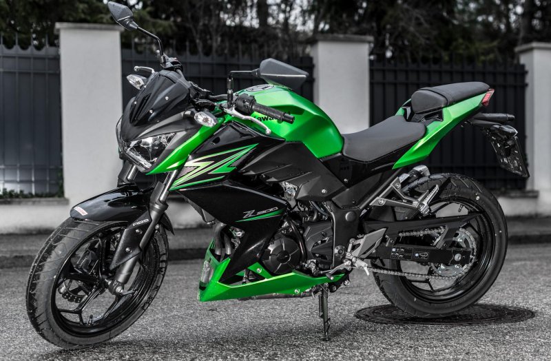 Kawasaki 300 кубов