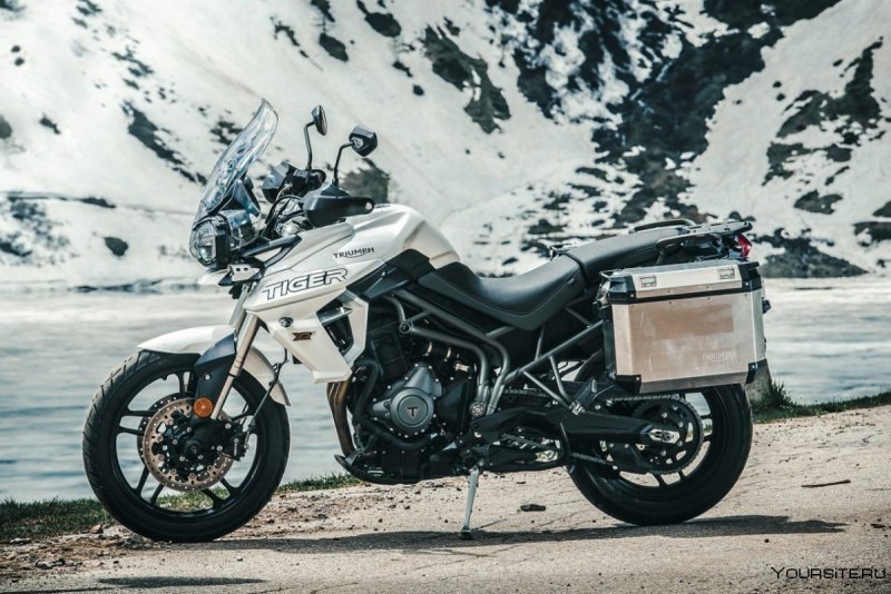 Triumph Tiger 1200 тигровый окрас