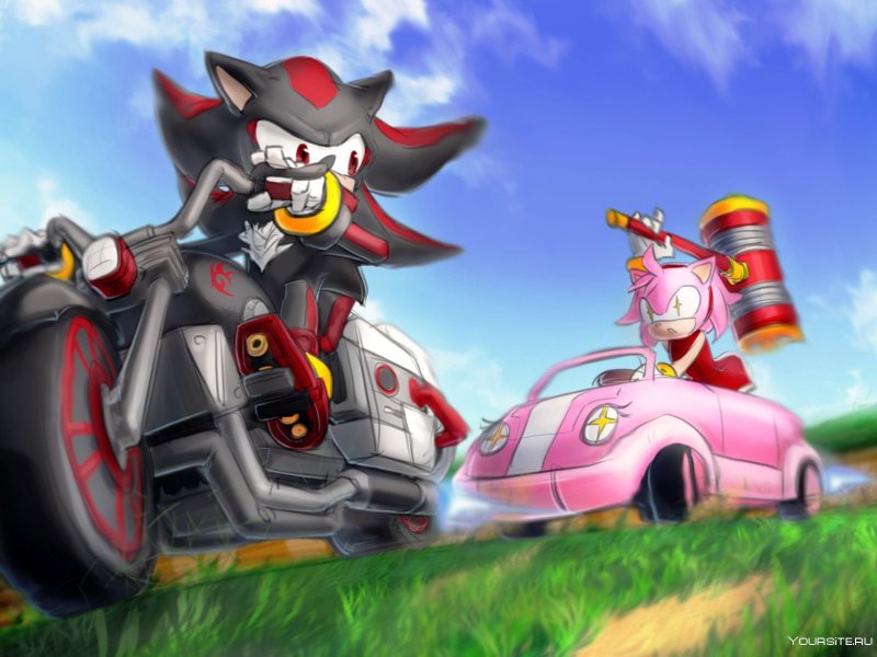 Shadow the Hedgehog Motorcycle