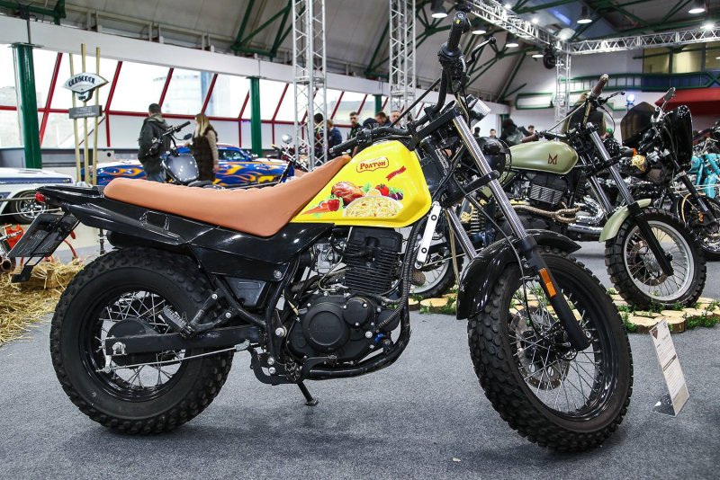 Стелс Десна 220