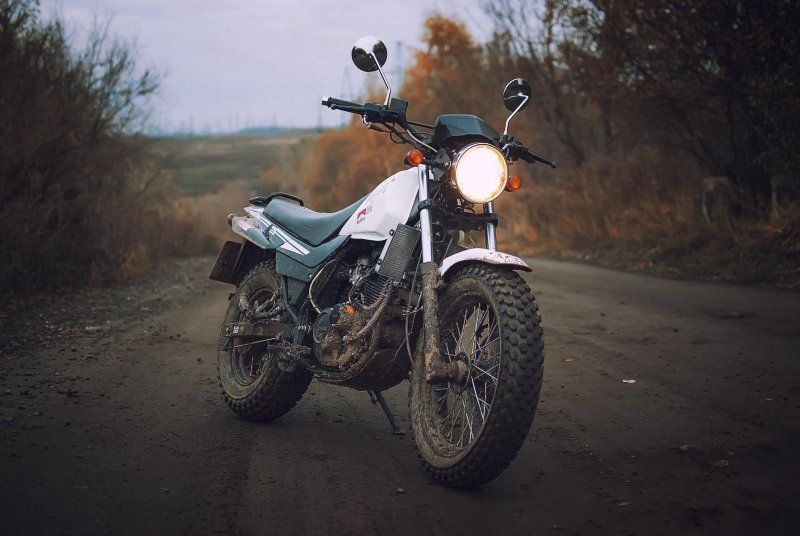 Стелс Десна 220