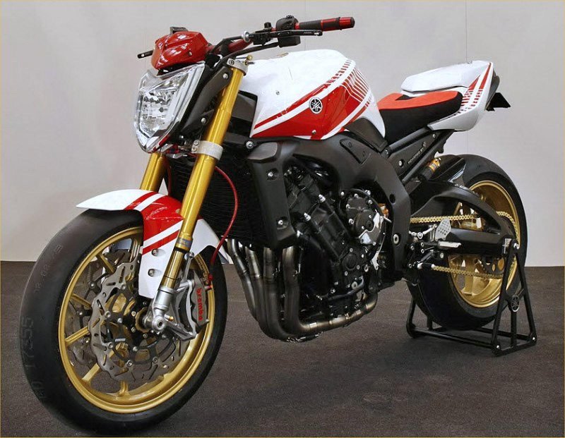 Yamaha fz1n Tuning