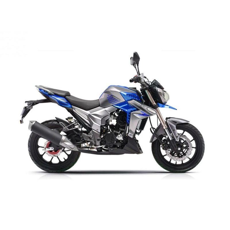 Regulmoto t-Leopard 300