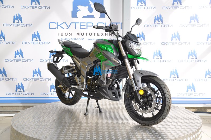 Regulmoto t-Leopard 300
