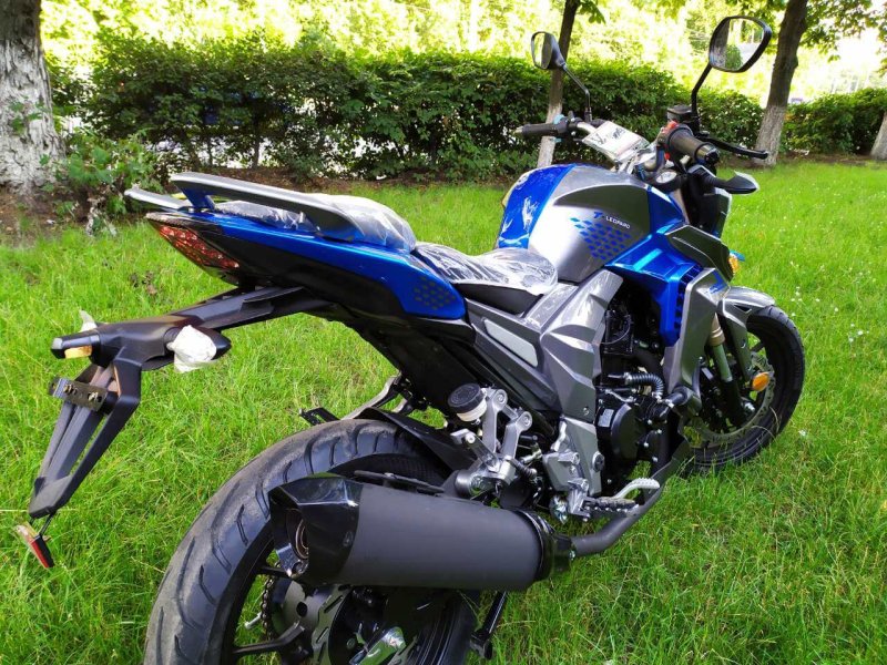 Regulmoto Leopard 300