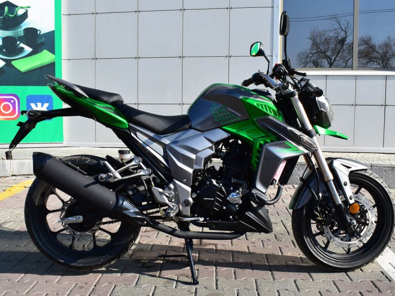 Regulmoto t-Leopard 300