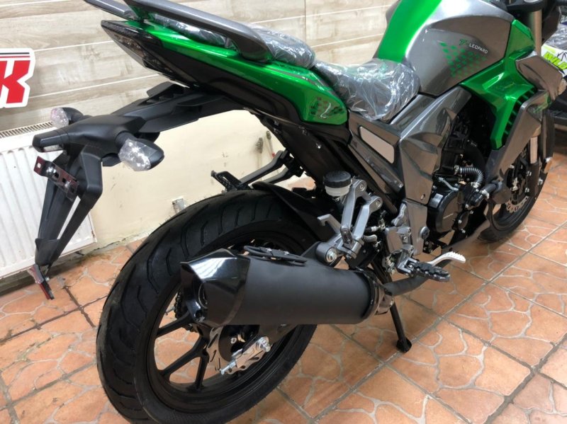 Regulmoto t-Leopard 300