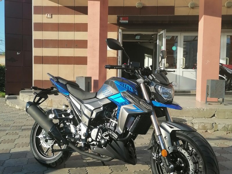 Regulmoto t-Leopard 300