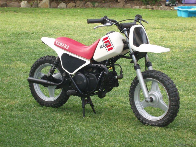 Kawasaki pw