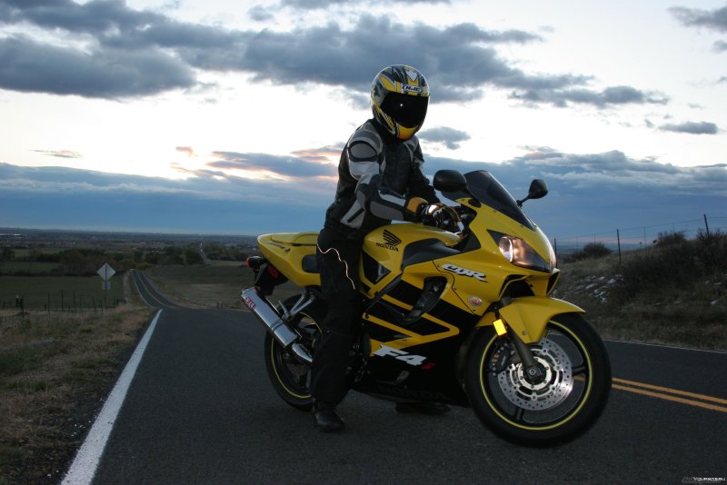 Honda CBR 600 f4i Yellow