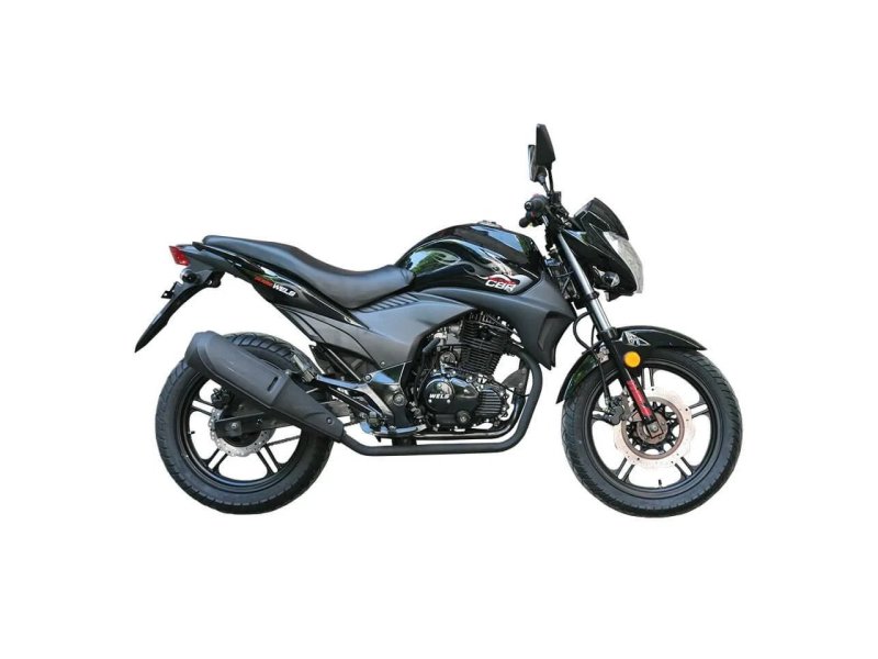 Wells CBR 300