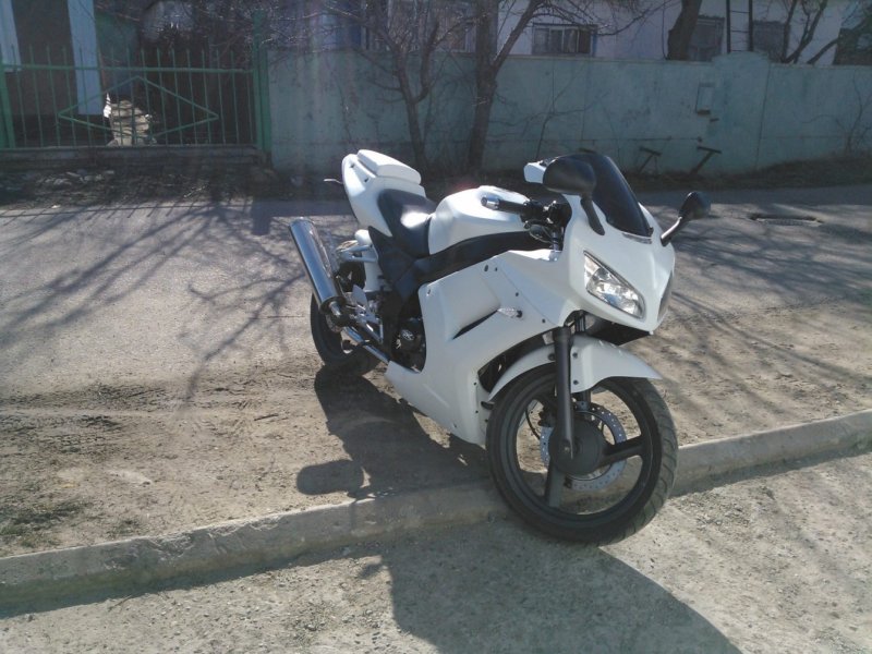 Patron Sport 250