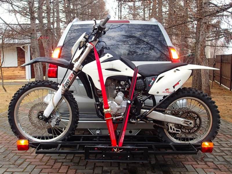 Мотохвост Карасев