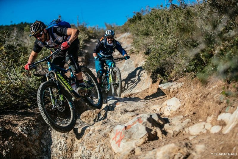 Триал вид спорта