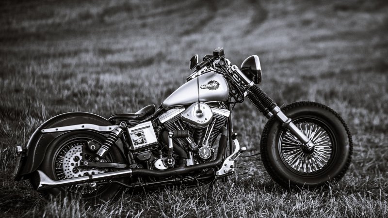 Харлей Дэвидсон мотоциклы