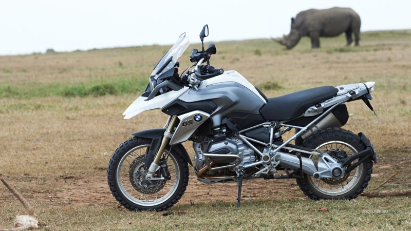 Гусь BMW r1200gs