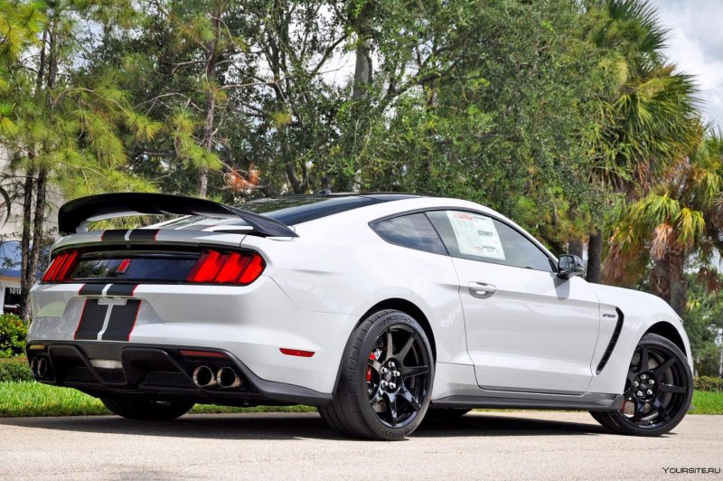Ford Mustang Shelby gt350r 2017