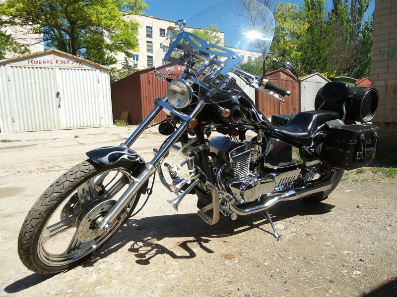 Regal Raptor dd300