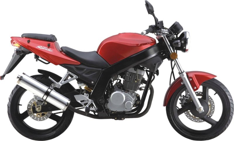 Мотоцикл Винг 250