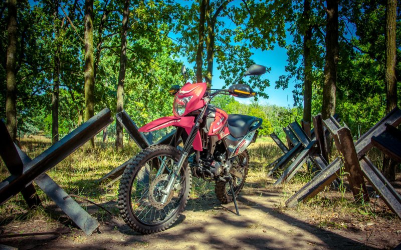 Эндуро в лесу