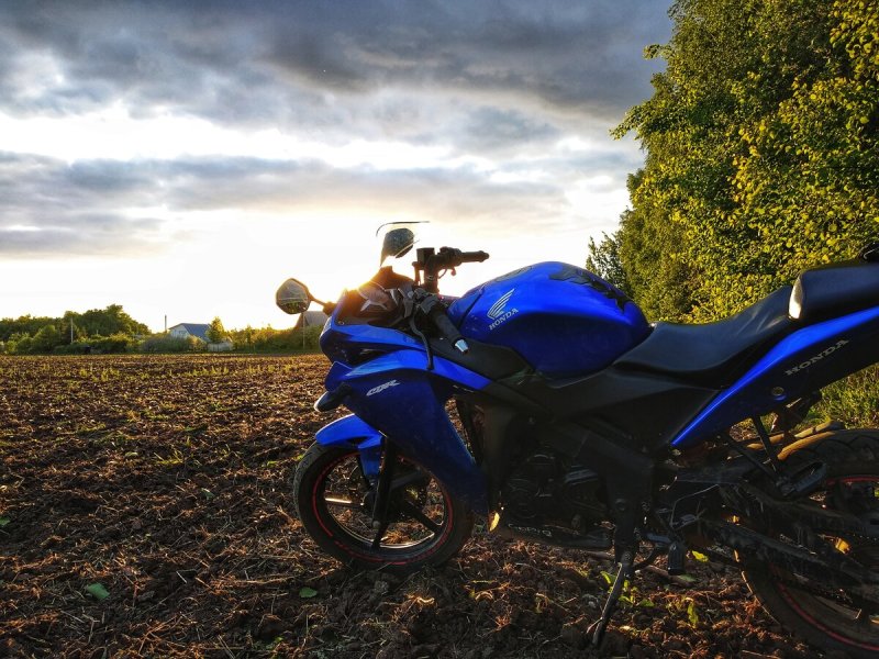 ABM gx250 синий