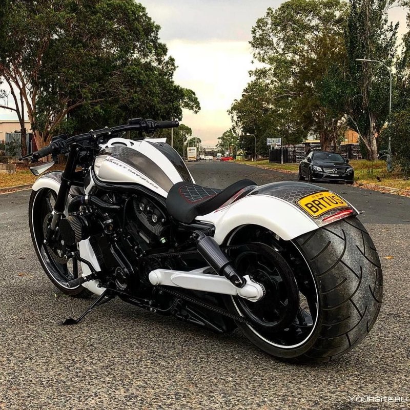Harley Davidson v-Rod 2019