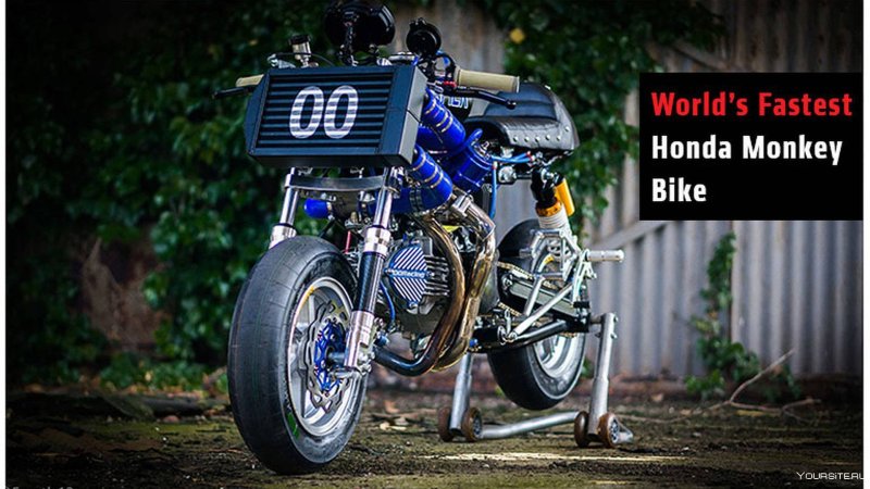 Мопед турдо фото и описание