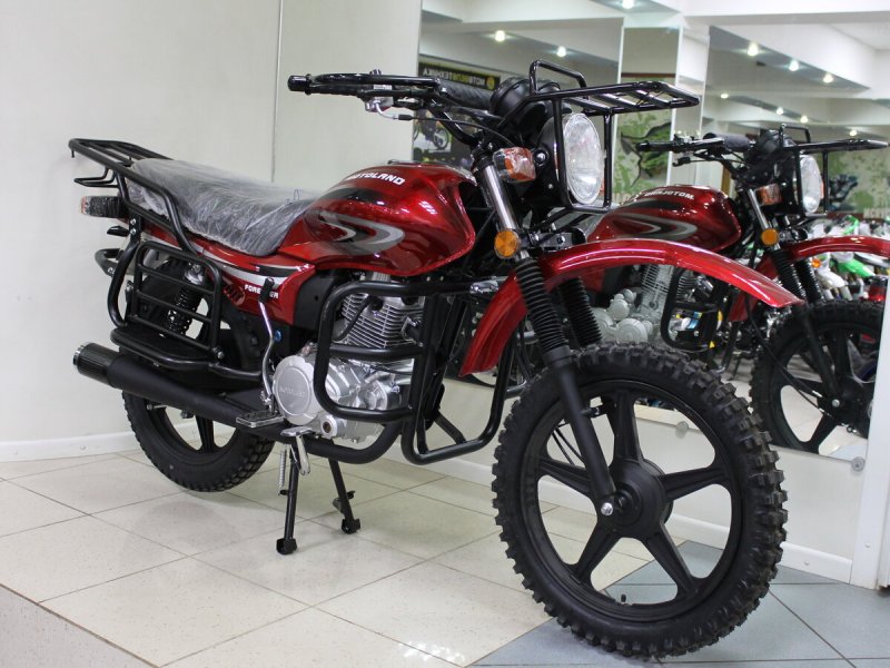 Мотолэнд Форестер 200