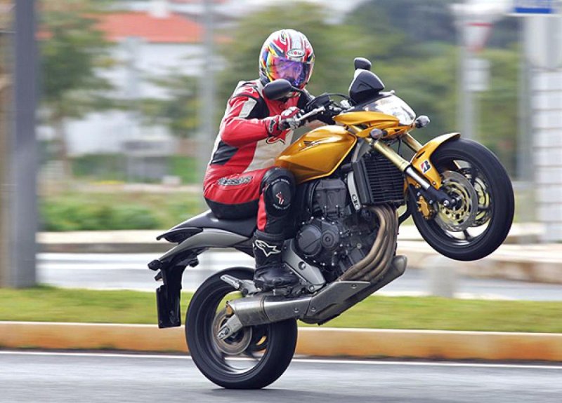 Honda Hornet 600 Вилли