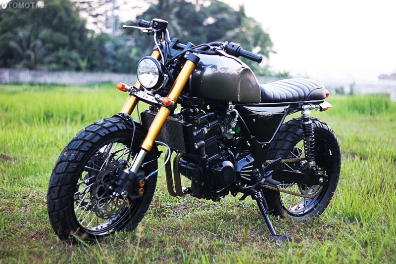 Kawasaki Ninja 250 Scrambler