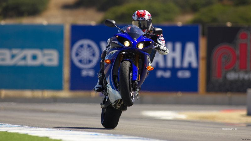 Yamaha YZF Wheelie