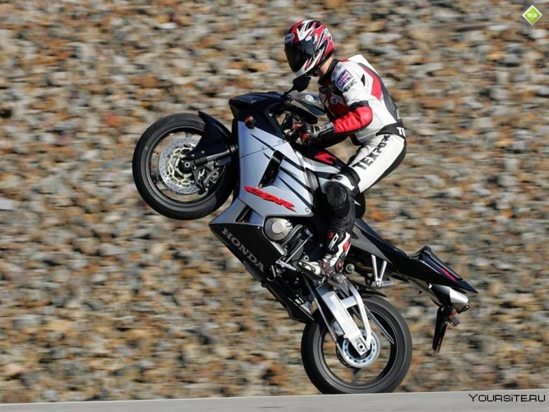 Вилли Honda CBR