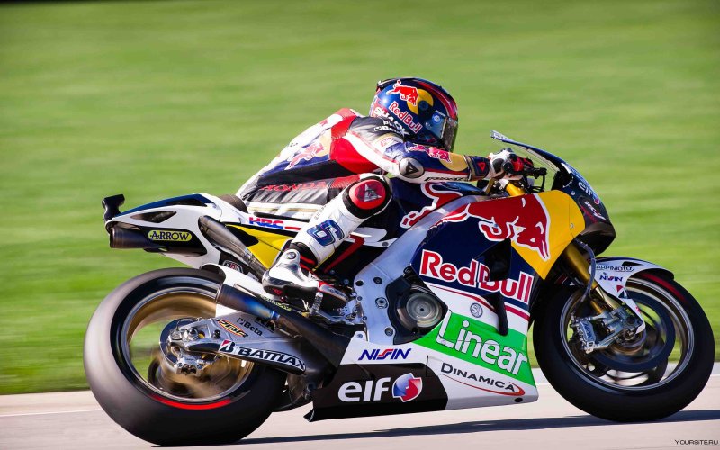 Red bull Honda