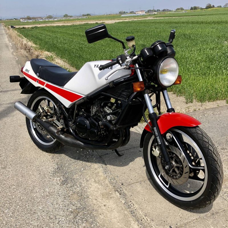 Yamaha 250r