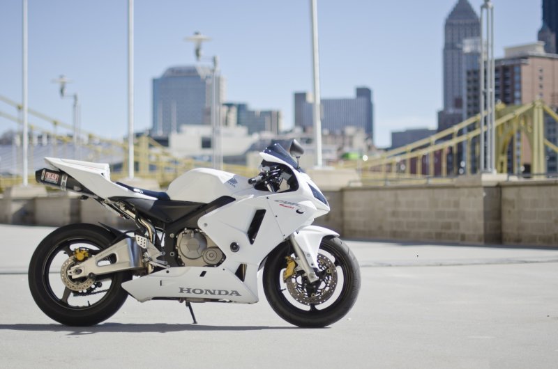 Honda cbr600rr White