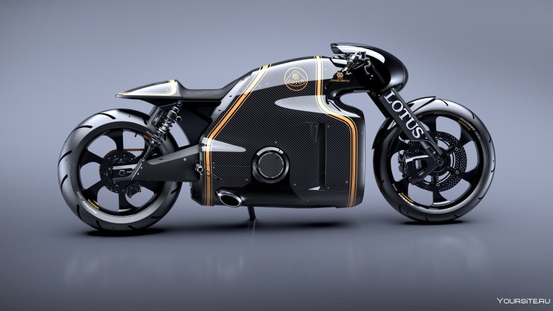 Lotus c-01