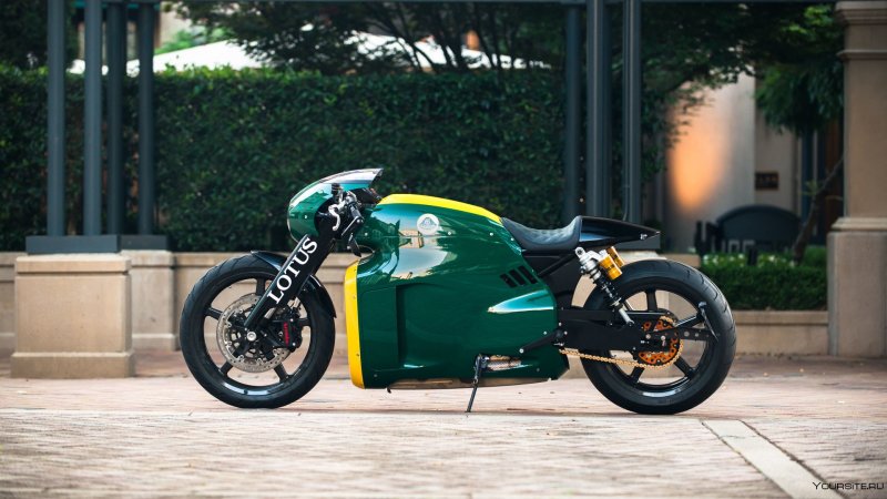 Lotus c-01